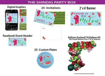 1 in a Melon - Shindig Party Box - A Bash In A Box