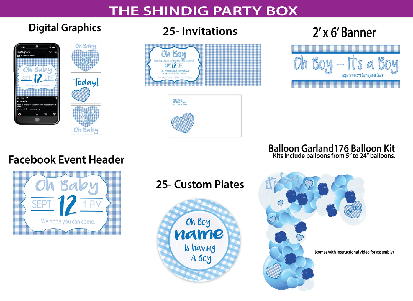 Blue Gingham -Shindig Party Box