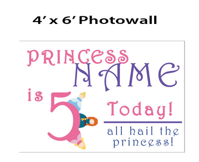 Princess -The Big Bash Party Box