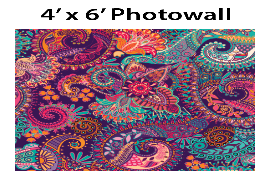 Paisley - Photo wall - $35.00