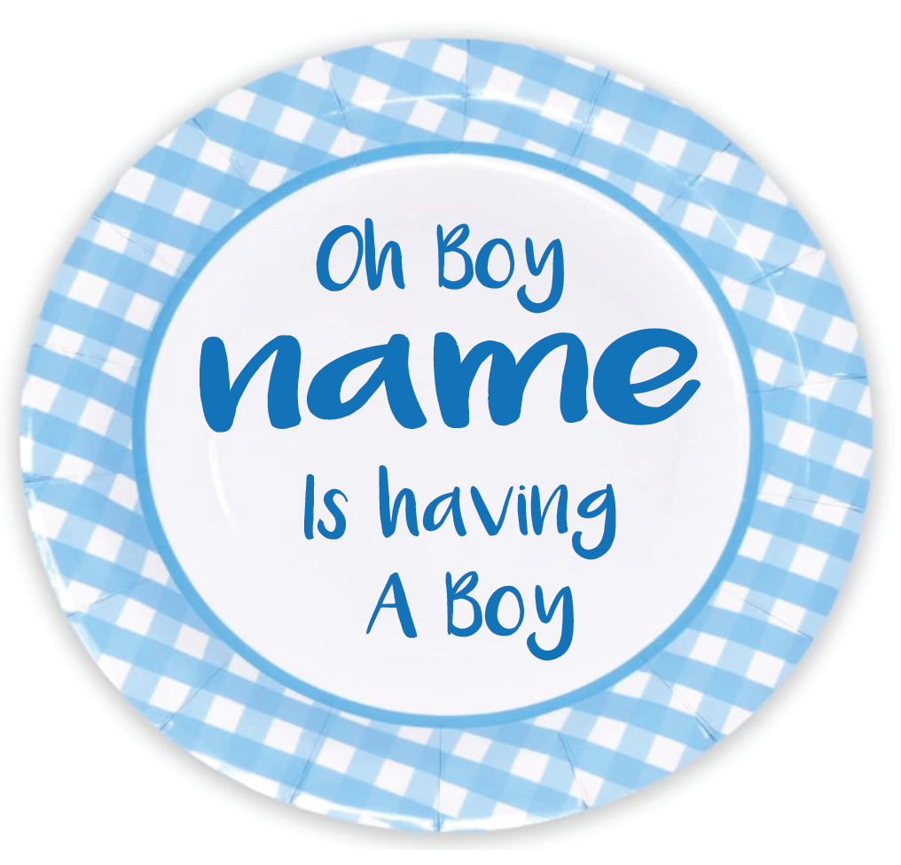 Blue Gingham - Plates - $25