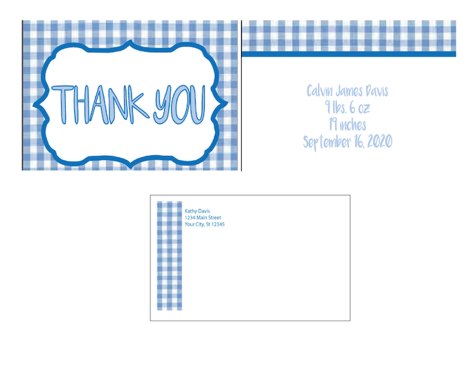 Blue Gingham -Thank You Cards - $20