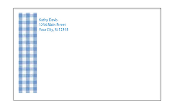 Blue Gingham -Thank You Cards - $20