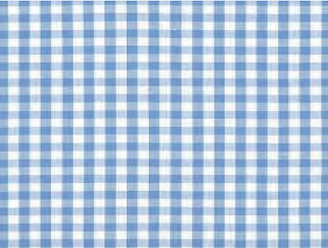 Blue Gingham - Invitations - $25