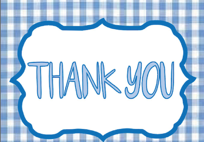 Blue Gingham -Thank You Cards - $20