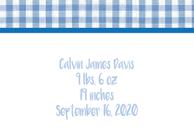 Blue Gingham -Thank You Cards - $20