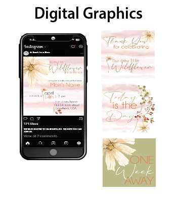Wildflower - Digital Graphics - $10.00