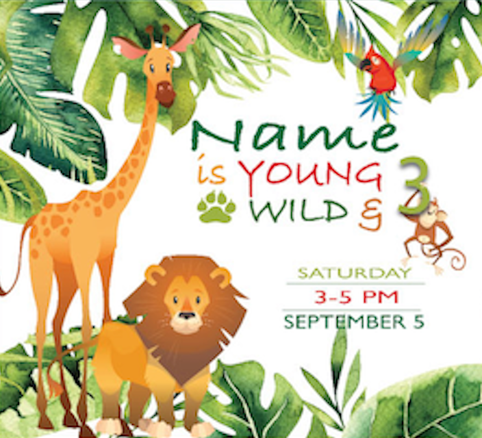 Young, Wild and Three - Digital Graphics $10.00