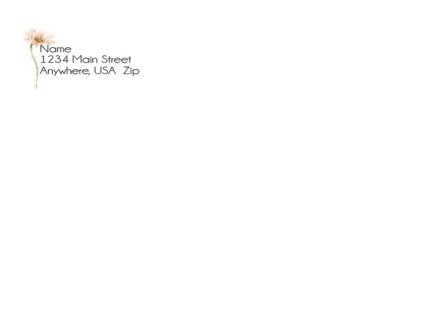 Wildflower - Thank You Cards - $20