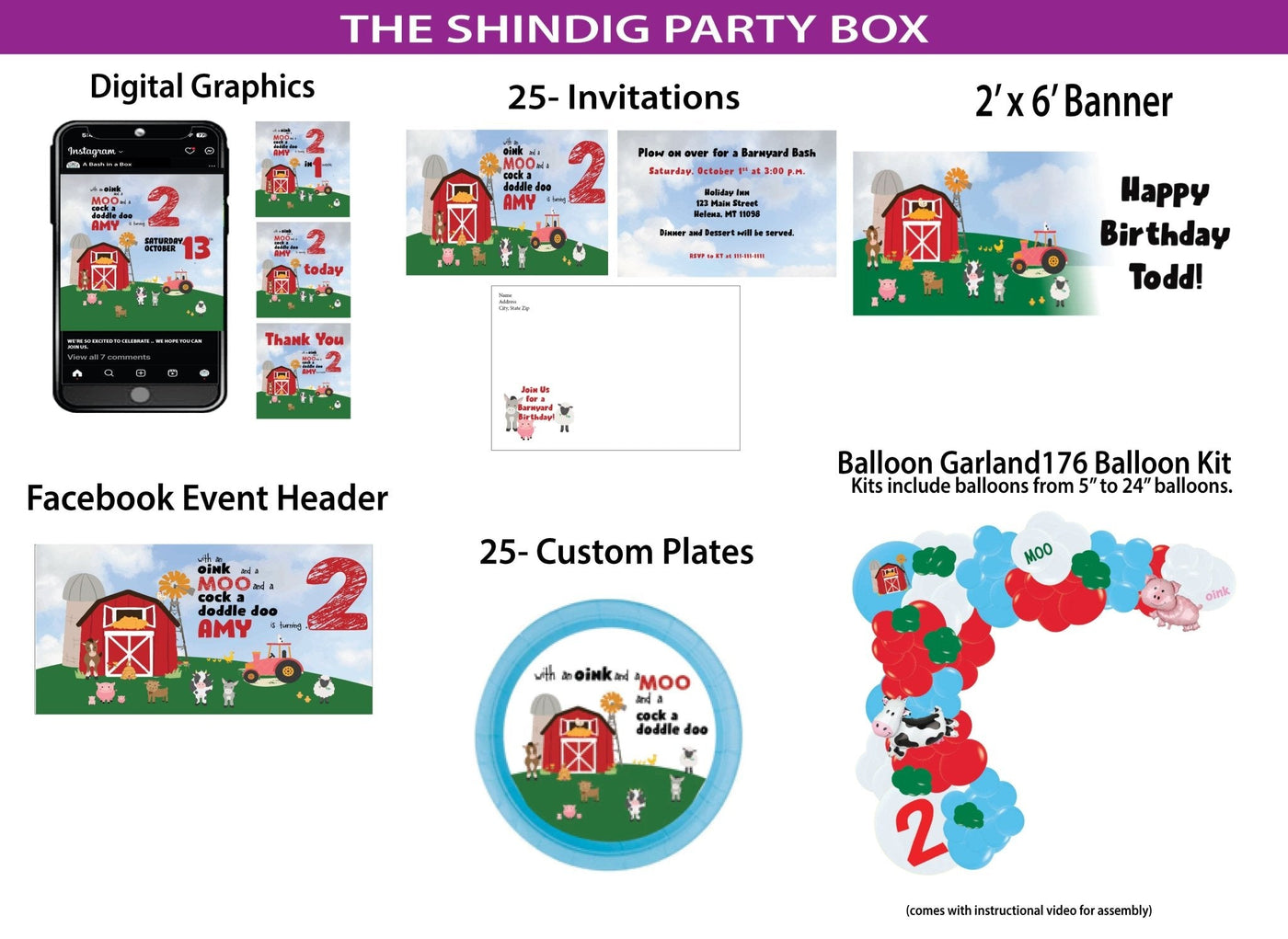 Barnyard - Shindig Party Box - A Bash In A Box