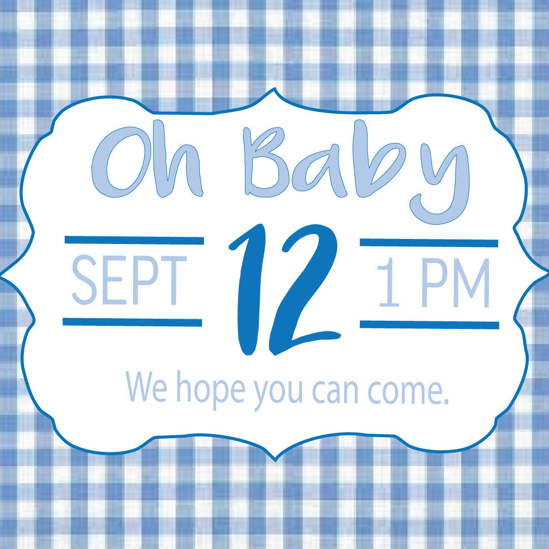 Blue Gingham Baby Shower