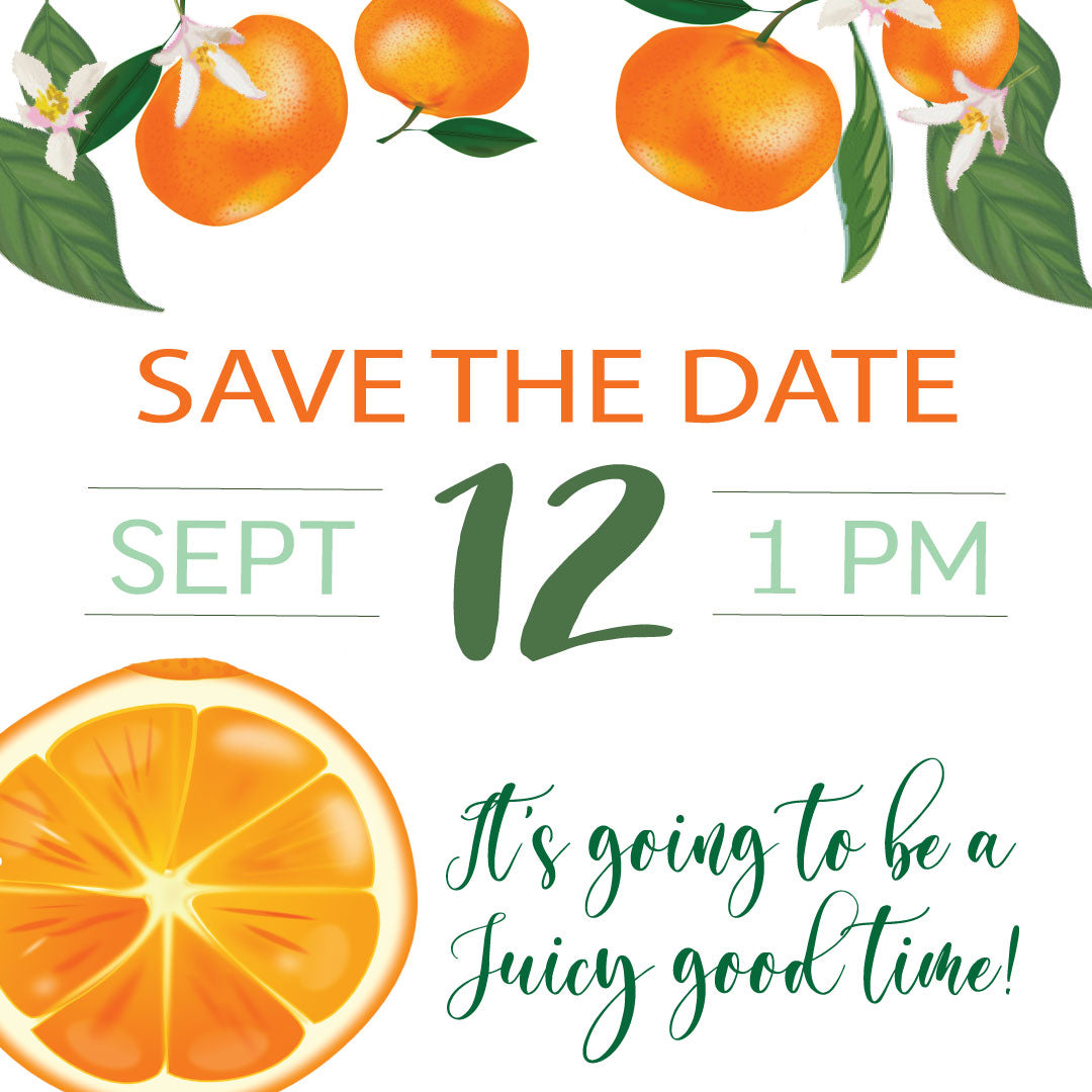 Little Cutie -Shindig Party Box – A Bash In A Box